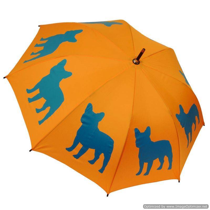 parapluies nouveau