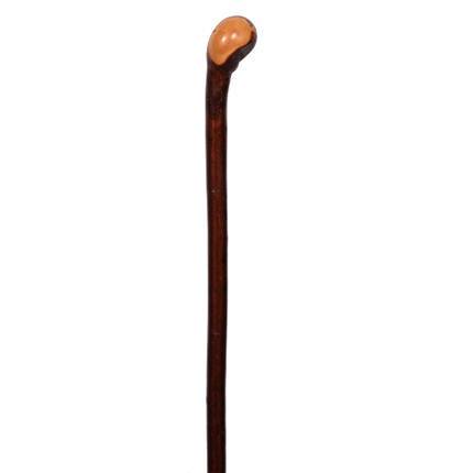 Bâton en Prunellier-Extra Longue ou Standard