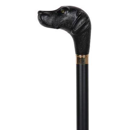 View a Black Labrador Walking Stick